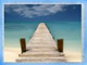 Click to visit