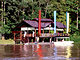 Sukau Rainforest Lodge