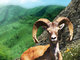 Nuratau Ecotourism