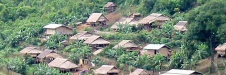 Hmong Village