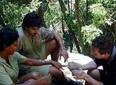 Daintree Eco Lodge & Spa