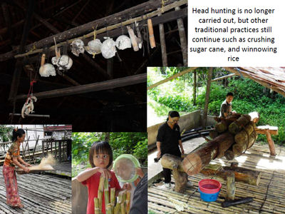 Traditional Activities
