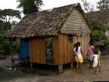 Typical river village dwelling