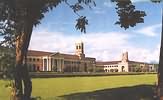 Forest Institute