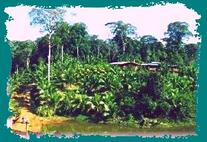 La Laguna del Lagarto