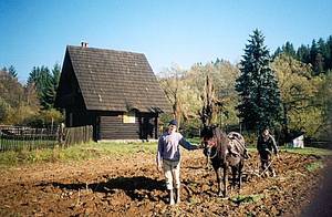 Romania  - Equestrian center at Lunca Ilvei
