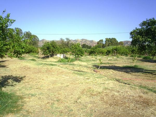 2g - Water Management