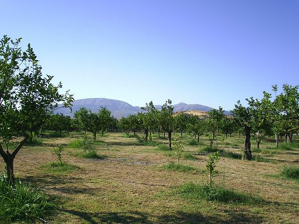 2r - Landscape Management