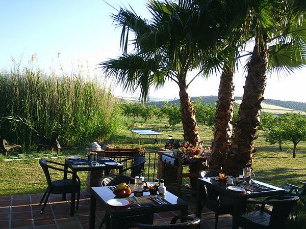 5d - View over the orchard