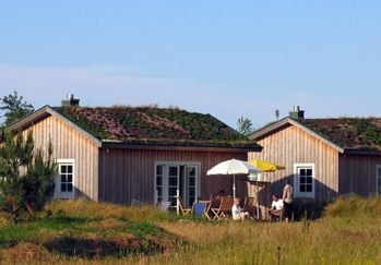 Green roofs, no paint
